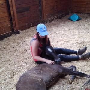 Meet your Posher, Crystal